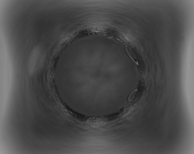 X0000087410817200705041246