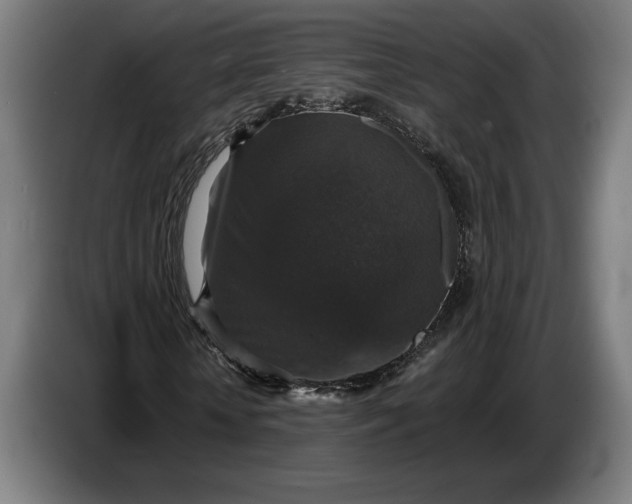 X0000087410818200705041246