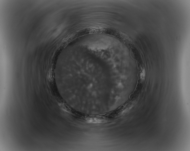 X0000087410819200705041246