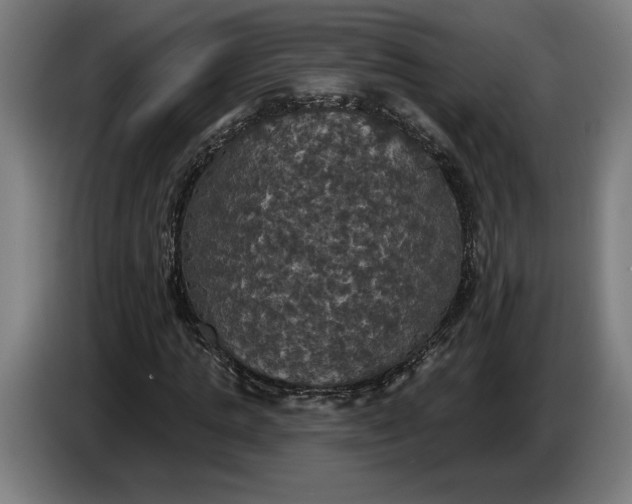 X0000087410821200705041246