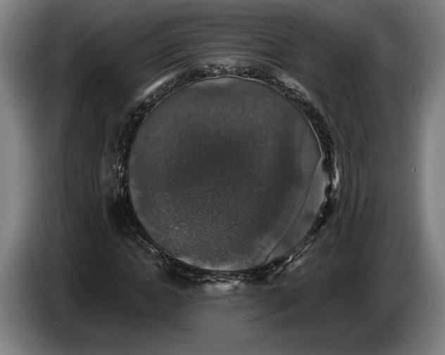 X0000087410822200705041246