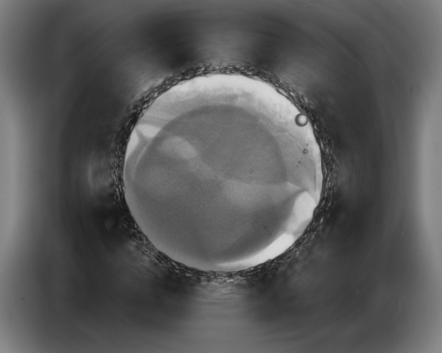 X0000087410824200705041246