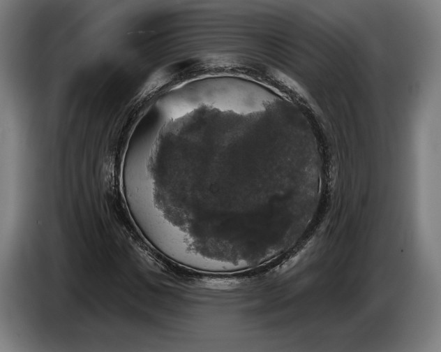 X0000087410825200705041246