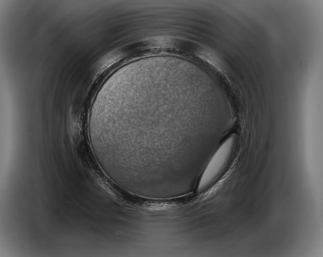 X0000087410826200705041246