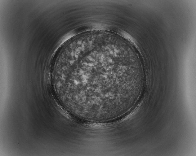 X0000087410827200705041246