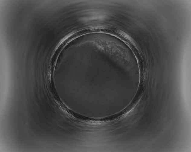 X0000087410829200705041246