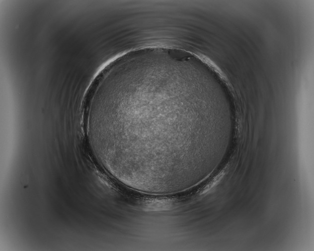 X0000087410830200705041246