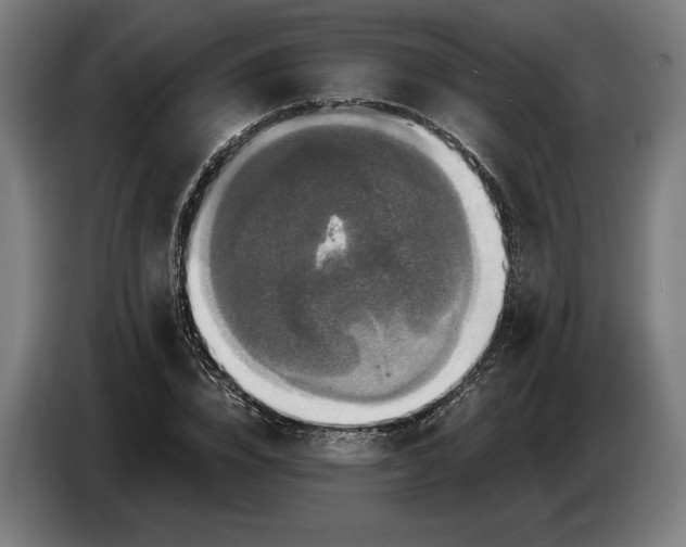 X0000087410832200705041246