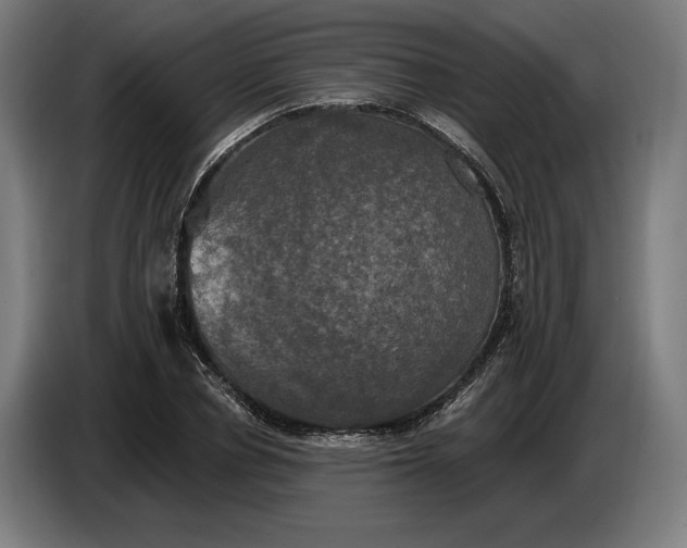 X0000087410834200705041246