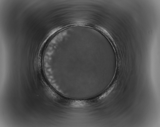 X0000087410835200705041246