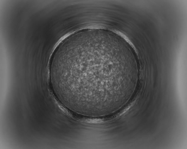 X0000087410837200705041246