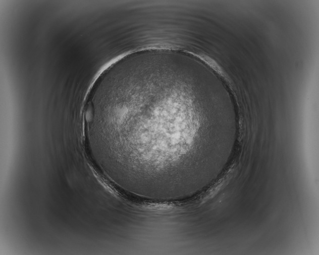 X0000087410838200705041246