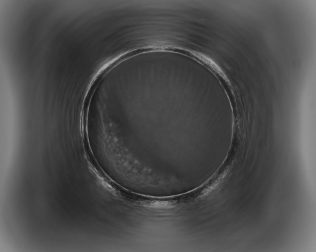 X0000087410839200705041246