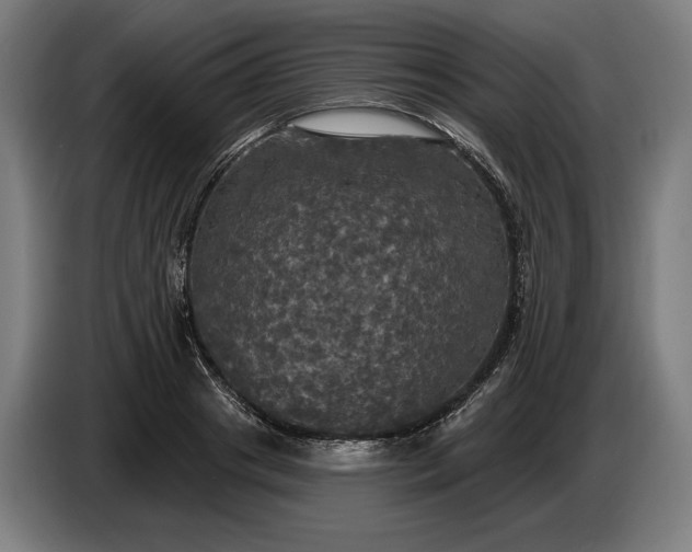 X0000087410841200705041246