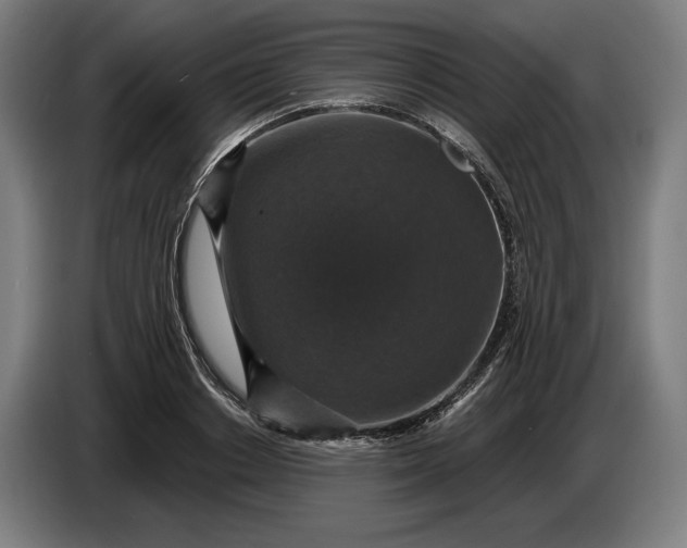 X0000087410842200705041246