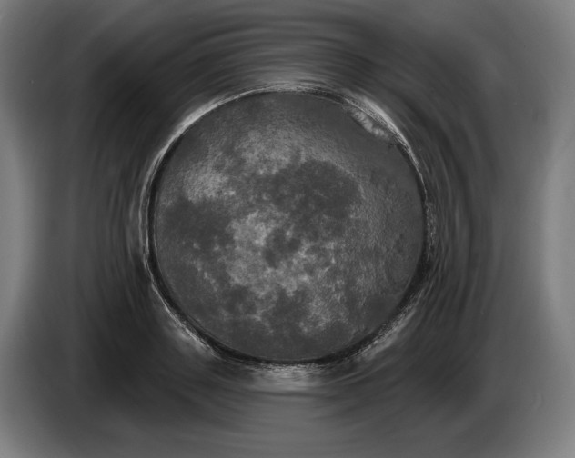 X0000087410843200705041246