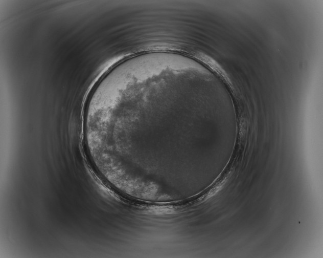 X0000087410844200705041246