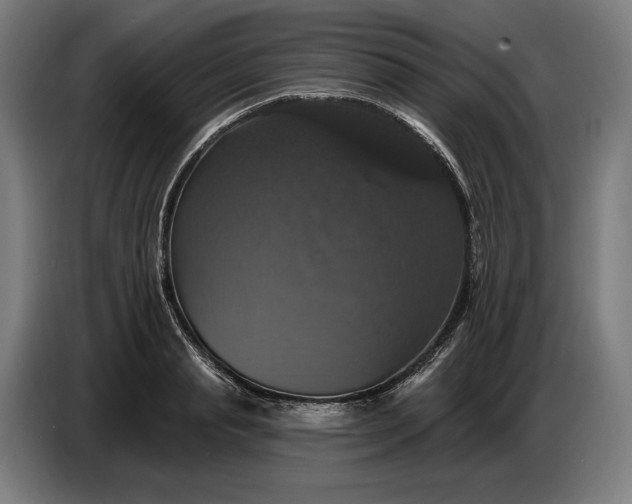 X0000087410845200705041246