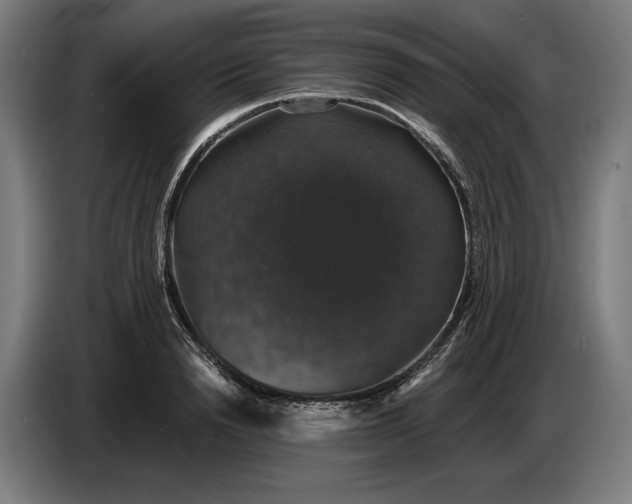 X0000087410846200705041246