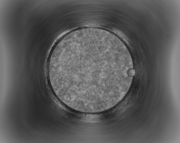 X0000087410848200705041246