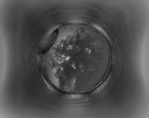 X0000087410849200705041246