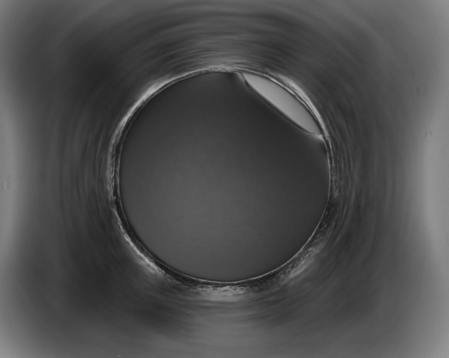 X0000087410851200705041246