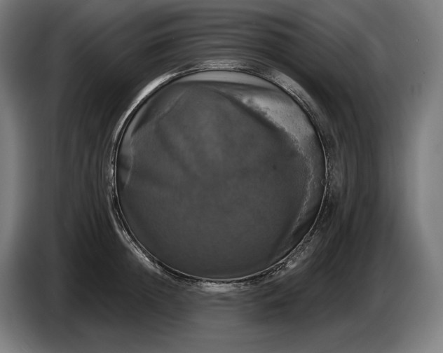 X0000087410852200705041246