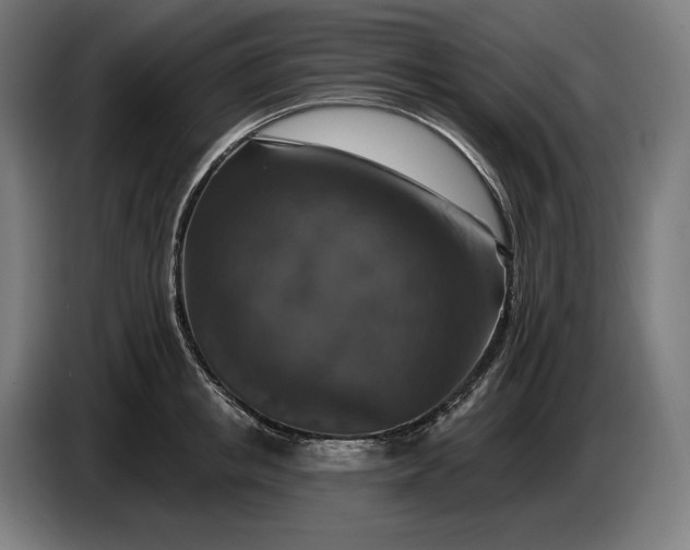 X0000087410853200705041246