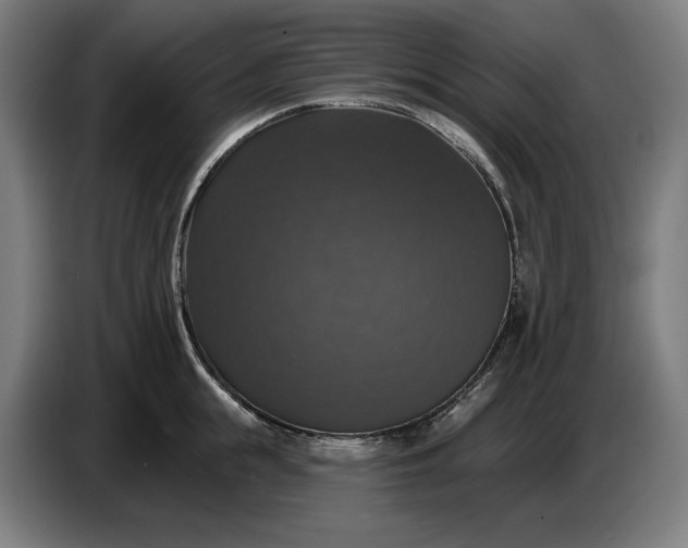 X0000087410855200705041246