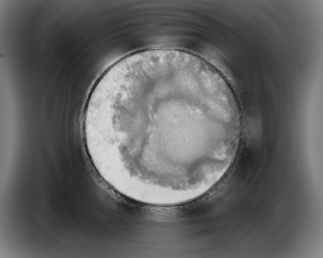 X0000087410856200705041246