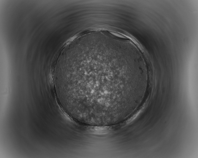 X0000087410857200705041246