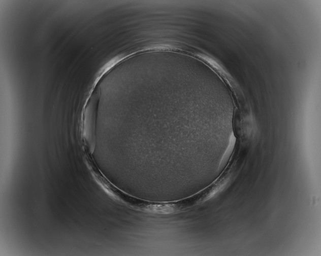 X0000087410858200705041246