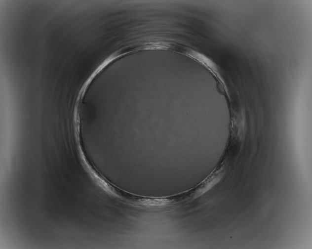 X0000087410859200705041246