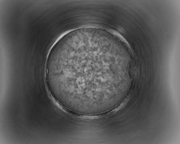 X0000087410860200705041246