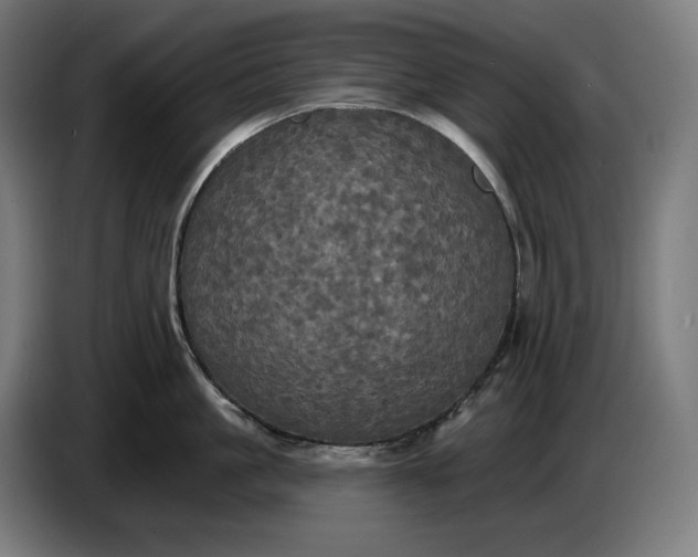 X0000087410861200705041246