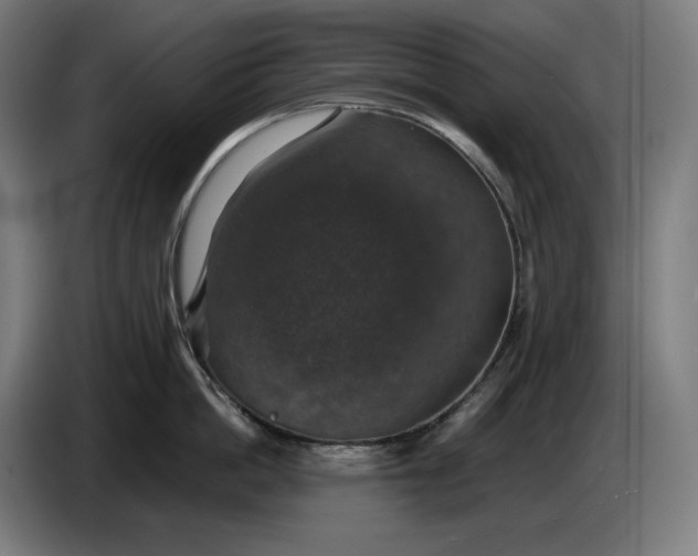 X0000087410862200705041246