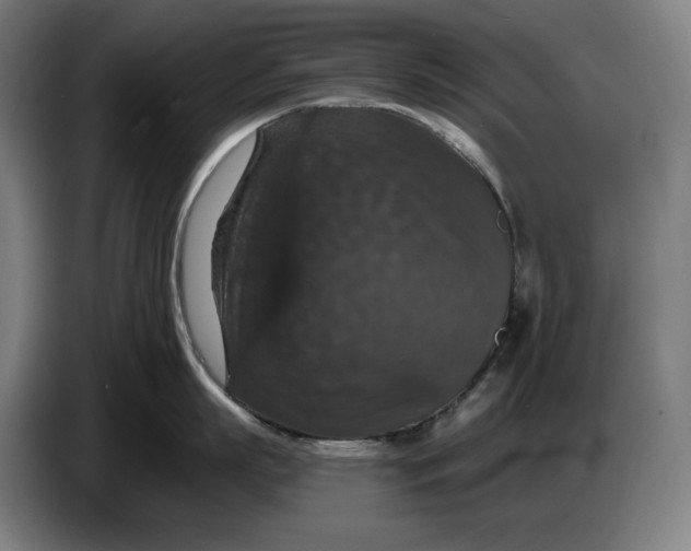 X0000087410863200705041246