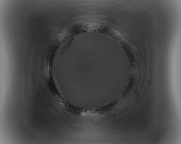 X0000087410866200705041246