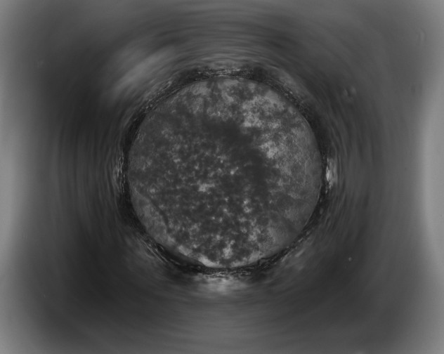 X0000087410867200705041246