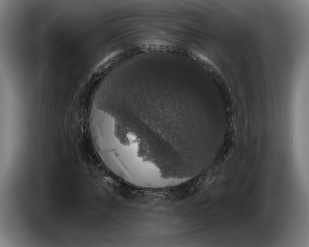 X0000087410870200705041246