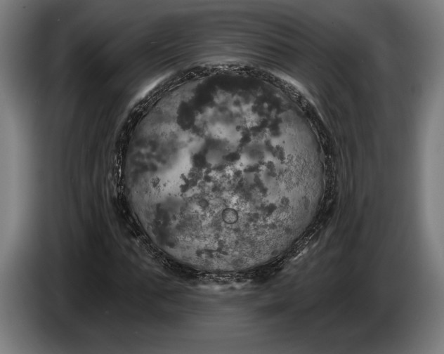 X0000087410871200705041246