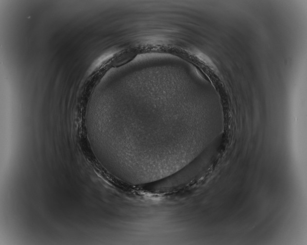 X0000087410872200705041246