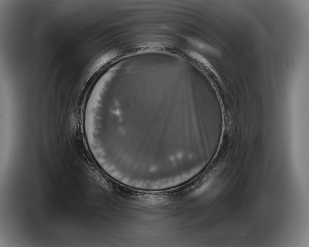 X0000087410874200705041246