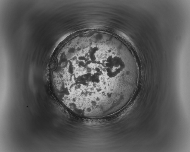 X0000087410875200705041246