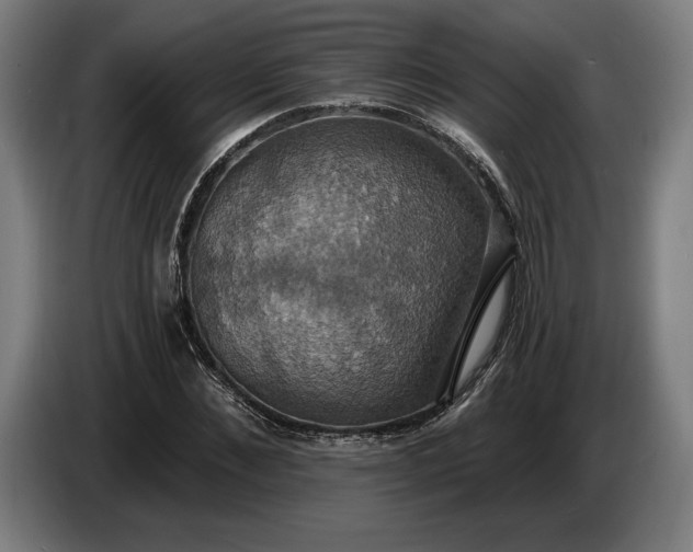 X0000087410876200705041246