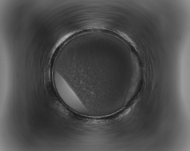 X0000087410877200705041246