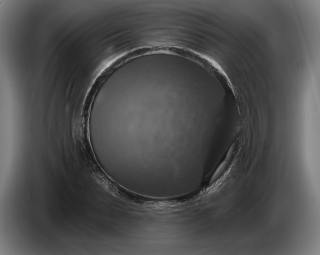 X0000087410879200705041246