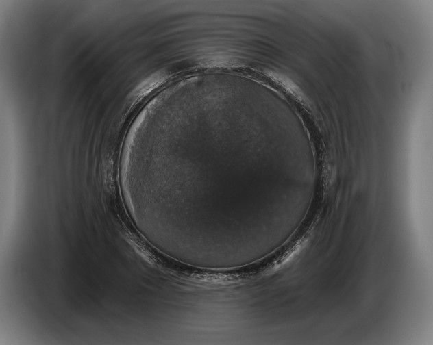 X0000087410881200705041246