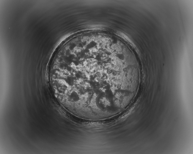 X0000087410883200705041246