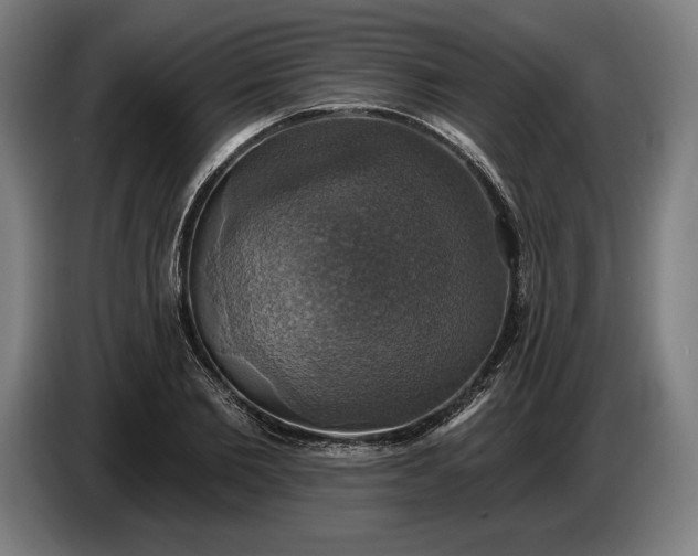 X0000087410885200705041246